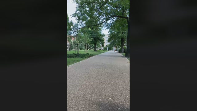 palka23  17-06-2022